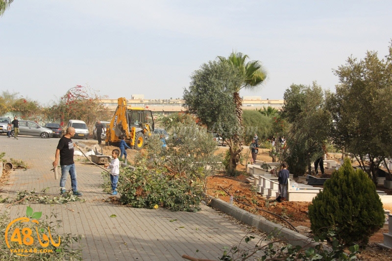 tasoooi3i1412 (30).JPG